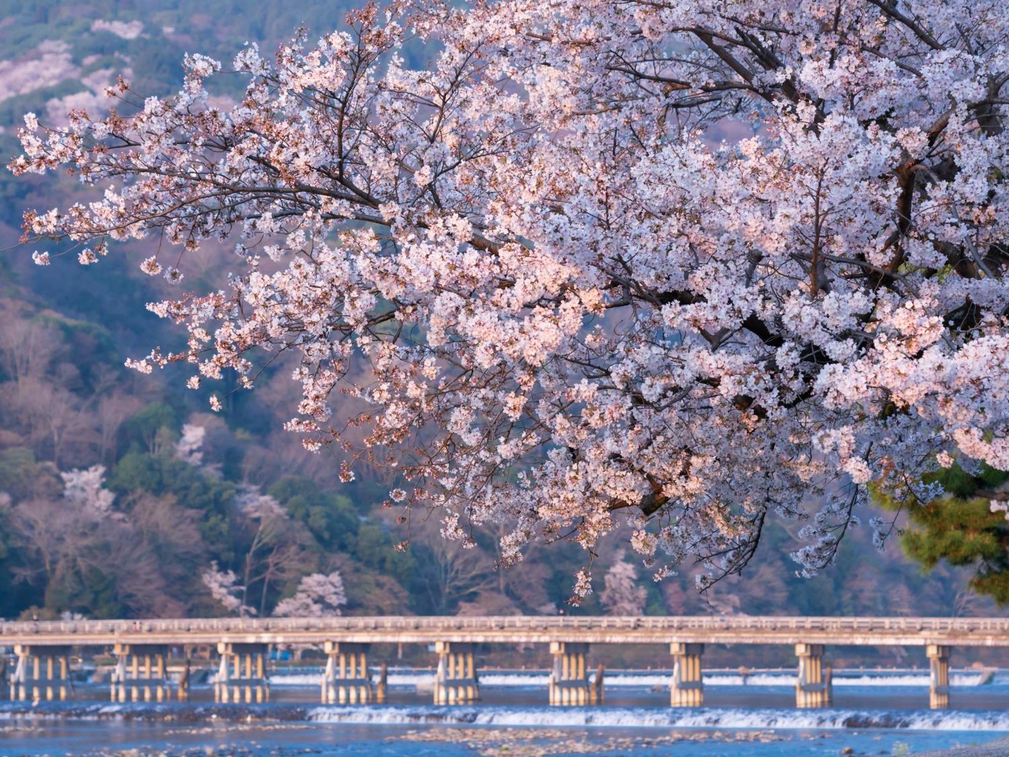 The Blossom Quioto Exterior foto